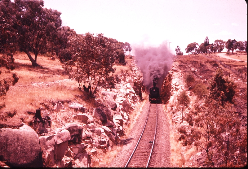 100310: Bethungra Spiral Up Tinplate Express 3810 Head on in cutting on up side of second tunnel