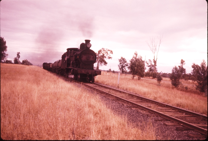 100357: Mileage 296 near Beni Dubbo Binnaway Goods 3205 Railway on boundary of Riach property on North side of line