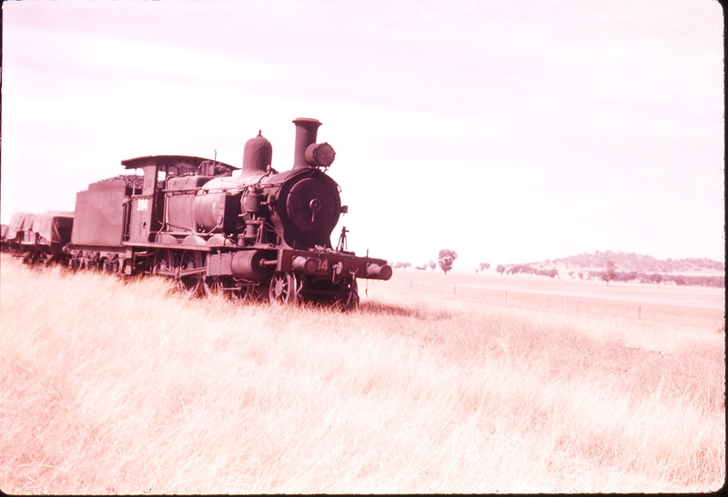 100475: Collingullie Down Goods 3104T