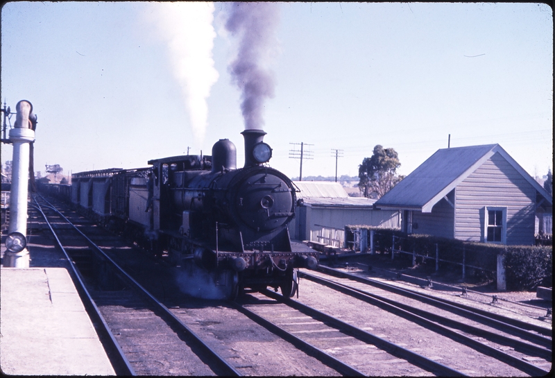 100536: Queanbeyan Up Canberra Mixed 3216