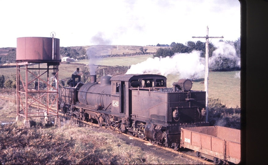 100672: Dinmont Down Beech Forest Goods G 42