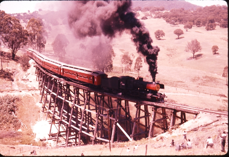 100770: Lower Trestle Shelley - Bullioh Up AREA Special J 518