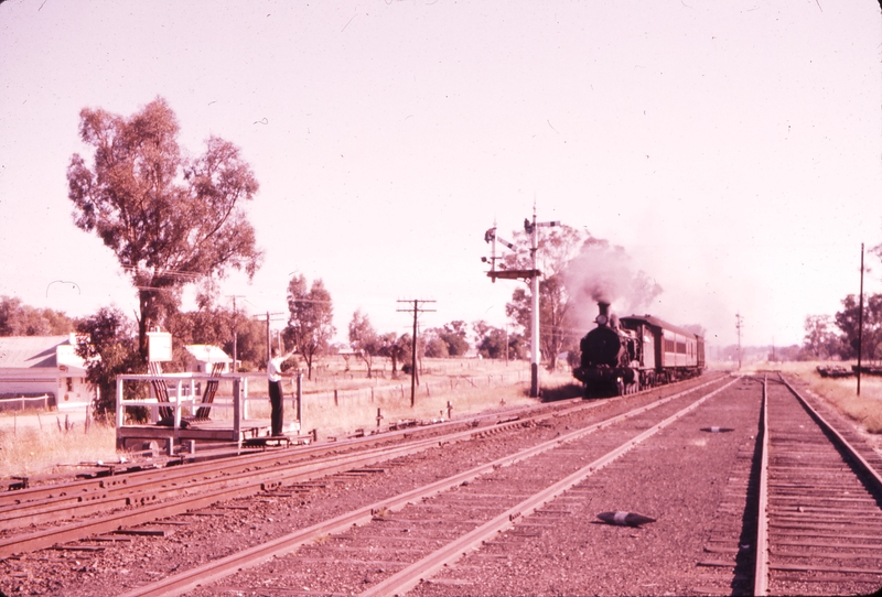 100954: Koorawatha Down Passenger to Grenfell 3006T