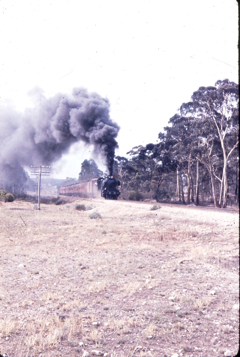 101233: Dunolly up side Up ARHS Special C 13