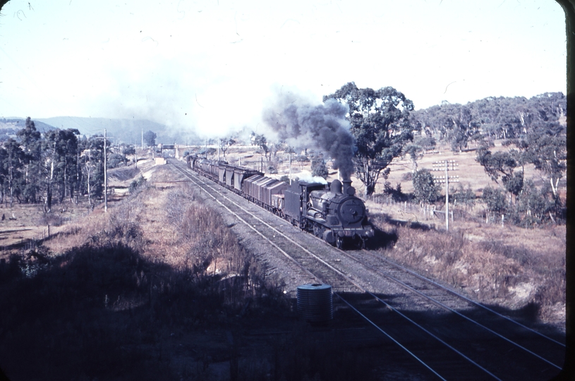 101546: Marrangaroo down side Down Goods 5336