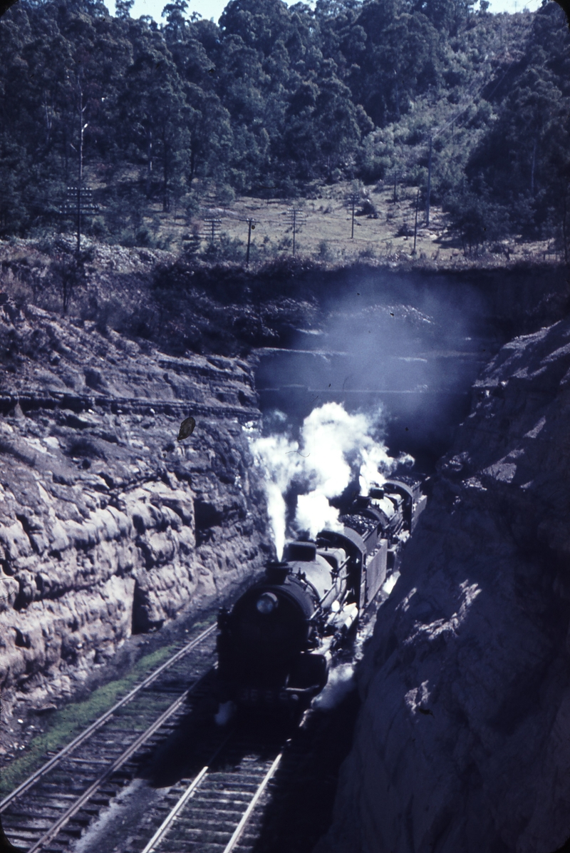 101550: Marrangaroo Tunnel up Portal Up Livestock 3629 3659