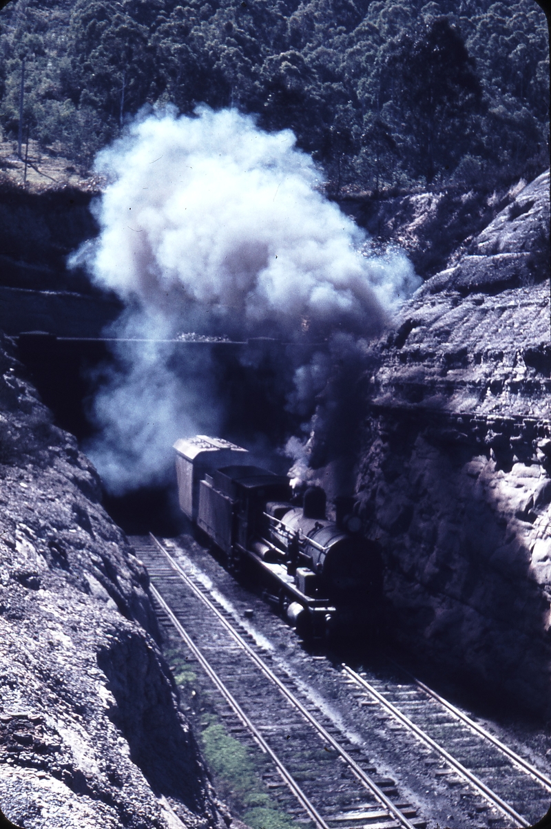 101554: Marrangaroo Tunnel up portal Up Livestock 5449