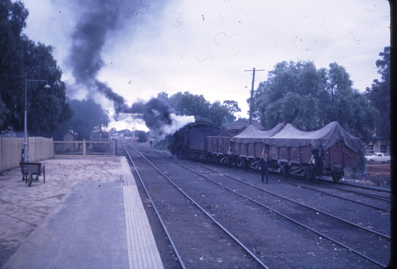 101644: Swan Hill J 501 shunting