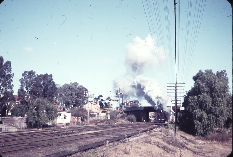 101655: Bendigo Down Swan Hill Passemegr R 711