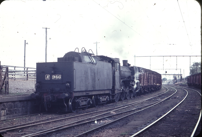 101715: Newmarket Livestock Siding A2 986