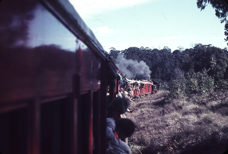 101731: Monbulk Creek Tretle down side Up Shakedown Passenger 7A