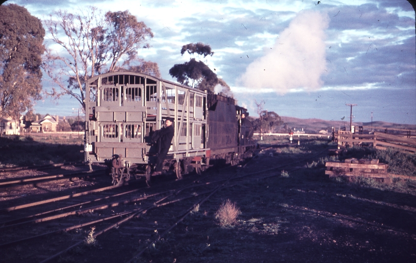 101787: Orroroo Shunting T 211