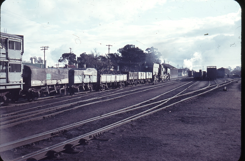 101843: Peterborough Down Goods from Terowie 408