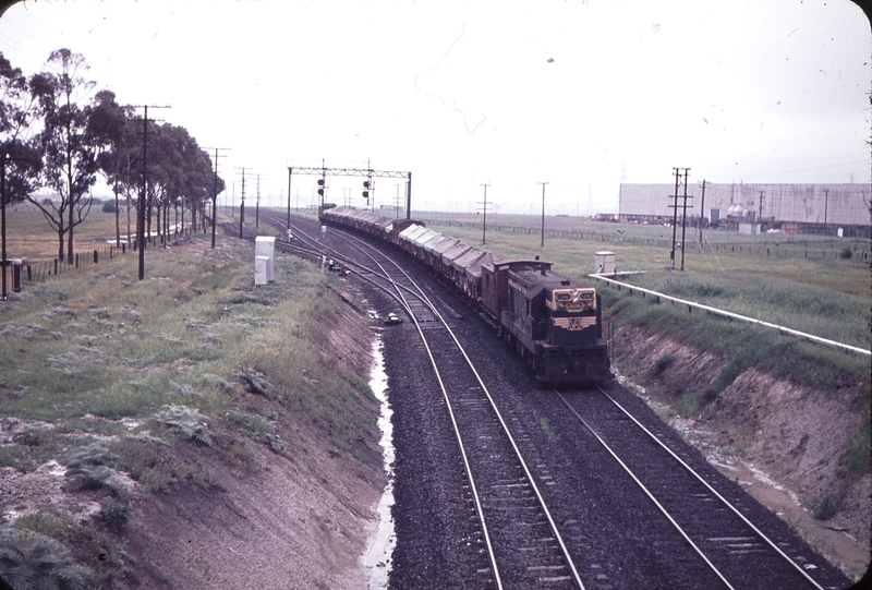 101945: Tullamarine Loop Down BG Goods T 340