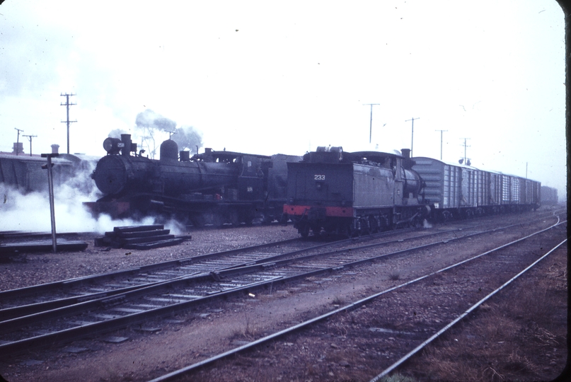 102177: Terowie NG Shunter T 258 and BG Shunter Rx 233