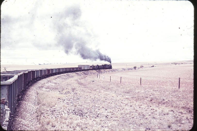 102198: Gladstone up side Up Goods T 225