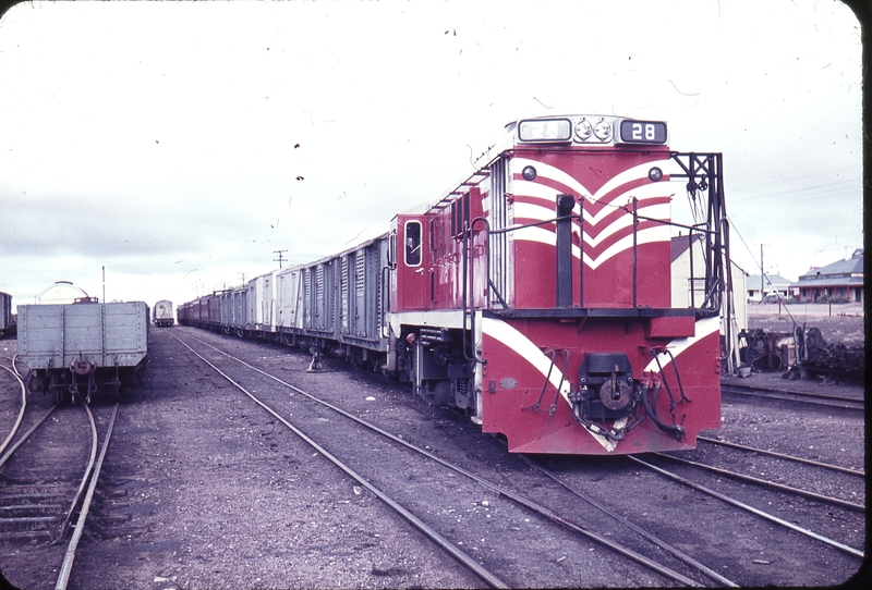 102212: Cockburn Down Broken Hill Express 28