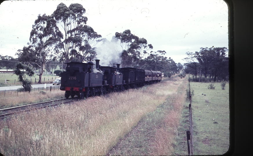 102311: Narellan up side Up Mixed 2016 2029