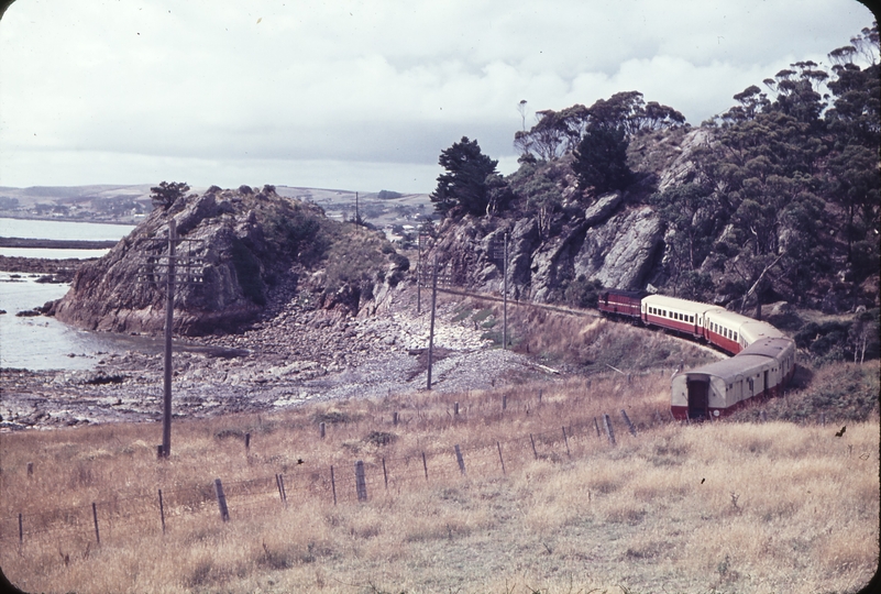 102599: Penguin down side Up Tasman Limited X 16