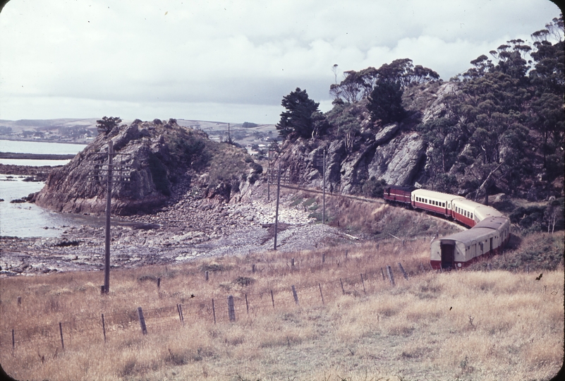 102599: Penguin down side Up Tasman Limited X 16