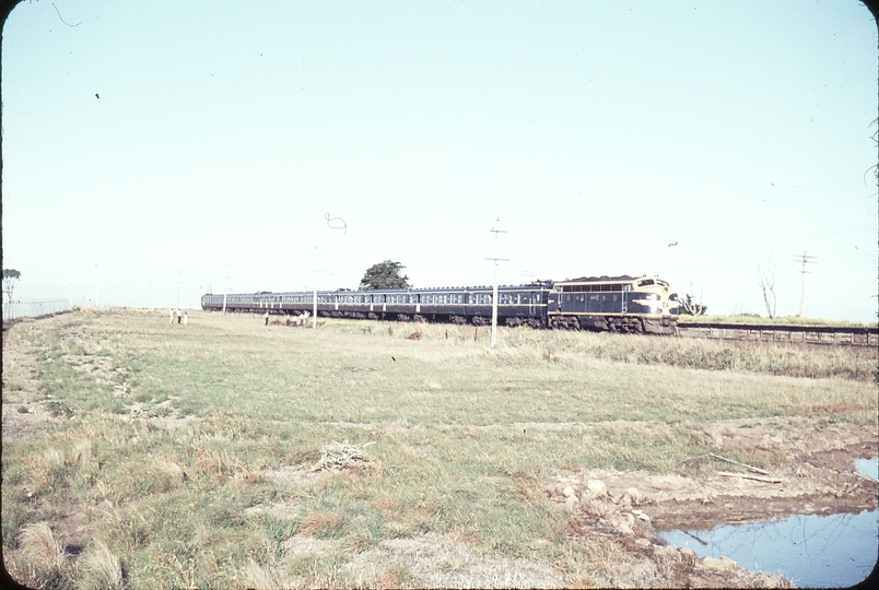 102800: Galvin Down Royal Tour Special B 65 hauling Harris cars