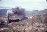 103026: Primrose Up Ore 12