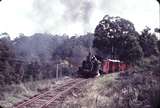 103191: Monbulk Creek Trestle down side 12:10pm Down Passenger 6A