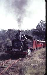 103192: Monbulk Creek Trestle down side 12:10pm Down Passenger 6A