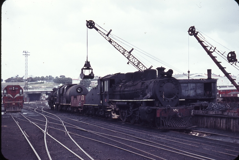 103329: Auckland Locomotive Depot C 857 and J and Da Class Locomotives