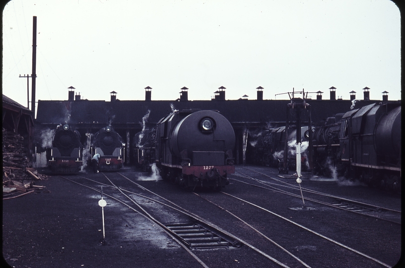 103330: Auckland Locomotive Depot Ja 1280 Ja 1285 Ja 1277