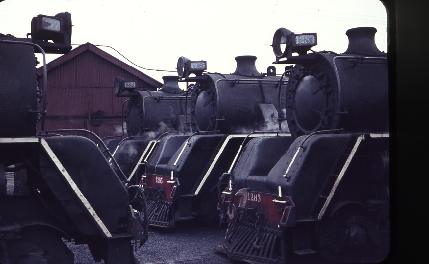 103332: Auckland Locomotive Depot Ja 1277 Ja 1280 Ja1285 Ja 1283