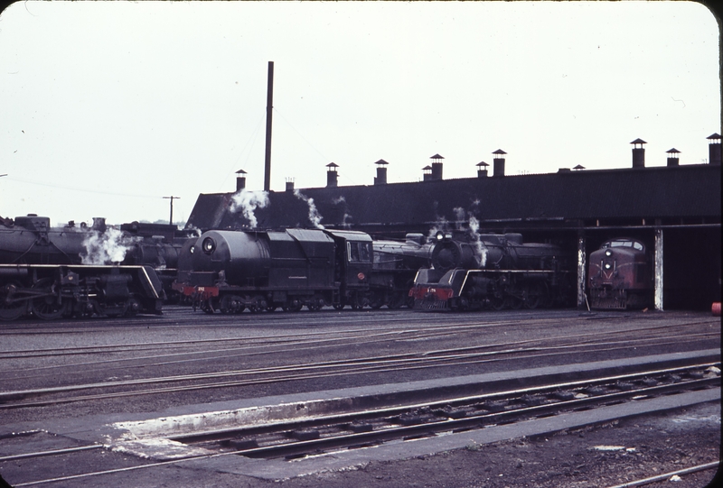 103335: Auckland Locomotive Depot Ja 1282 Ja 1278 and Ja and Df class Locomotives