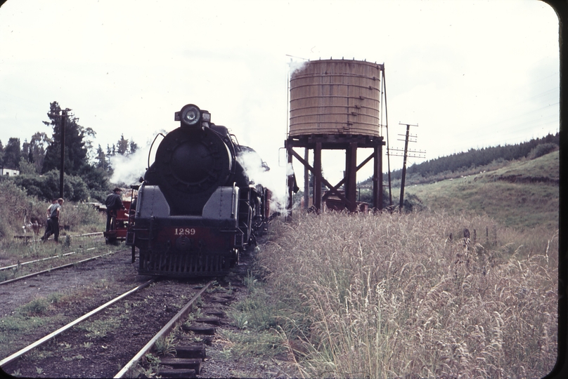 103419: Waikoau Up Gisborne Express Ja 1289