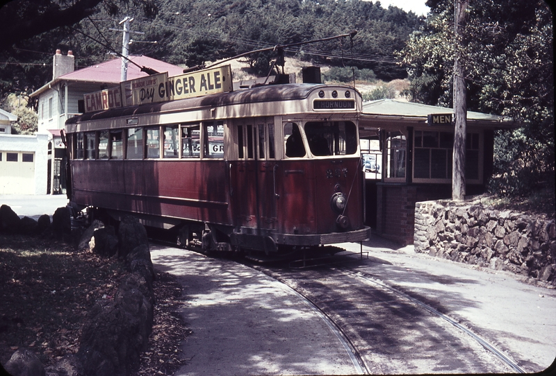 103472: Newtown Zoo Terminus 257