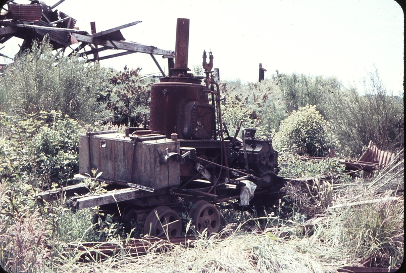 103622: Rahui Vertical Boiletred Locomotive ex Nelson Creek Sawmilling Co