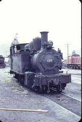 103664: Greymouth Locomotive Depot Wa 137