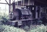 103750: Lake Brunner Sawmilling Co Ruru 0-4-2ST AB 718-1893