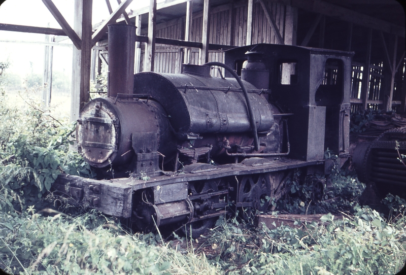 103750: Lake Brunner Sawmilling Co Ruru 0-4-2ST AB 718-1893