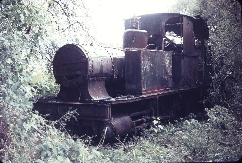 103751: Lake Brunner Sawmilling Co Ruru 0-6-0T