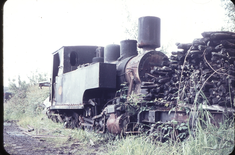 103754: Lake Brunner Sawmilling Co Ruru Barclay 0-4-2T