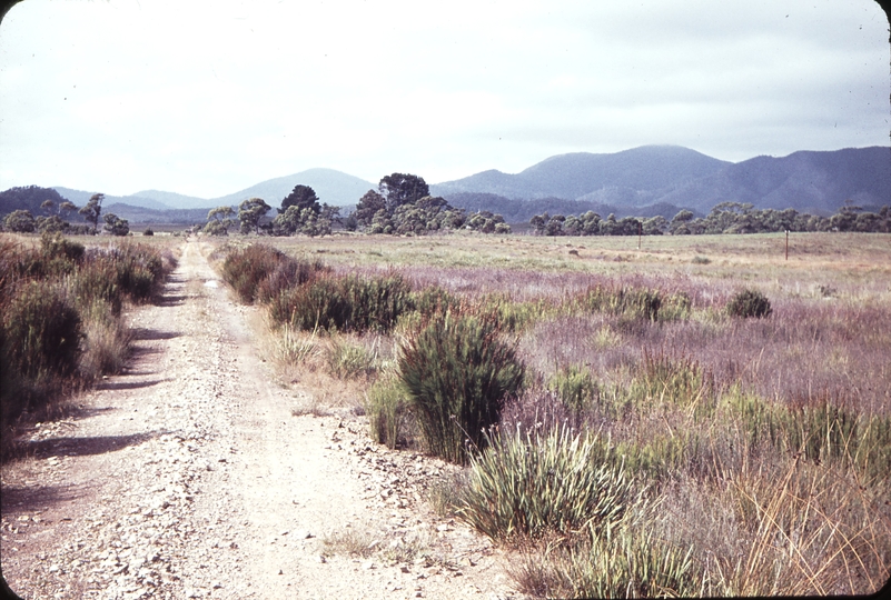 104211: Zeehan Williamsford Line formation just North of station looking North