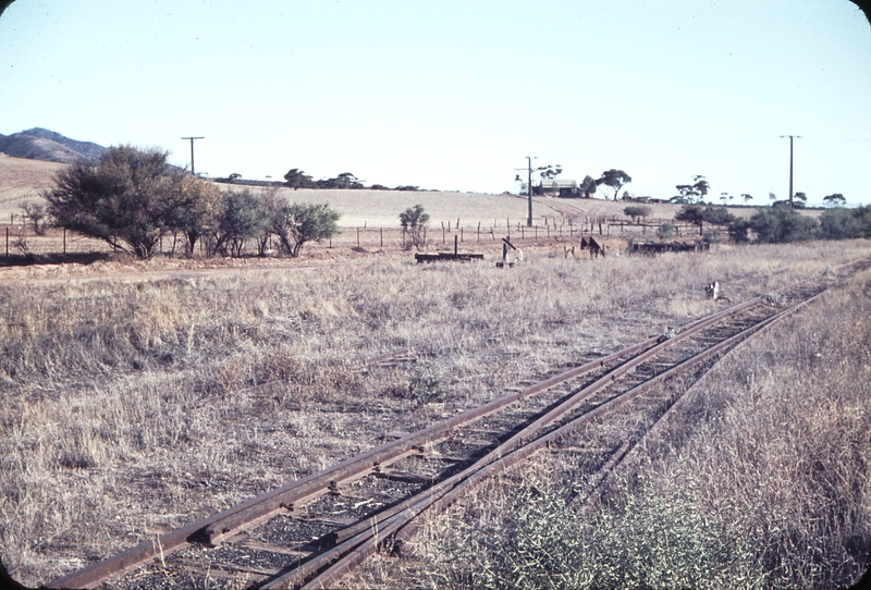 104352: Woolshed Flat looking towards Saltia