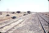 104413: Alberrie Creek Looking towards Alice Springs