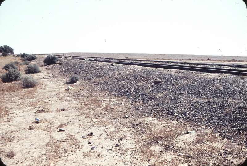 104414: Alberrie Creek Looking towards Alice Springs