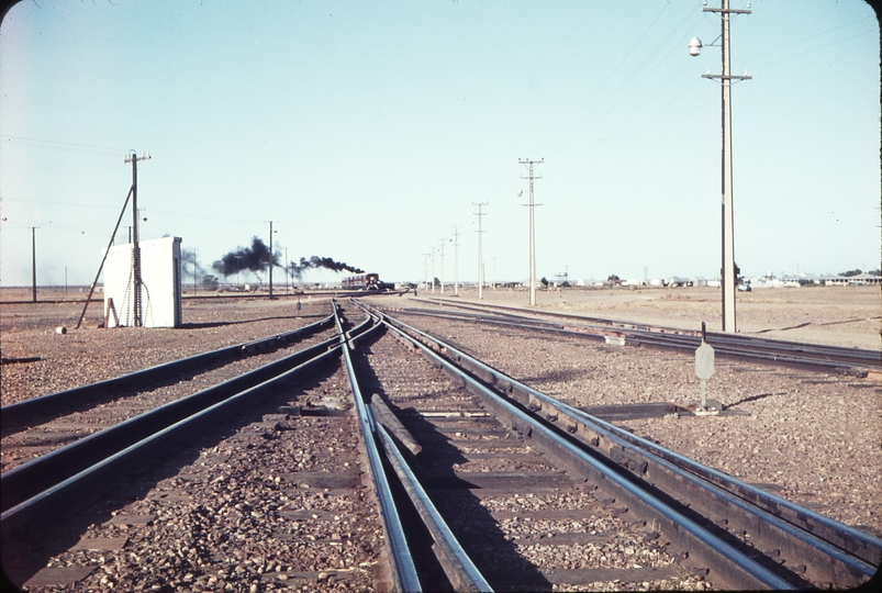 104425: Marree balloon loop Shunt NM 25