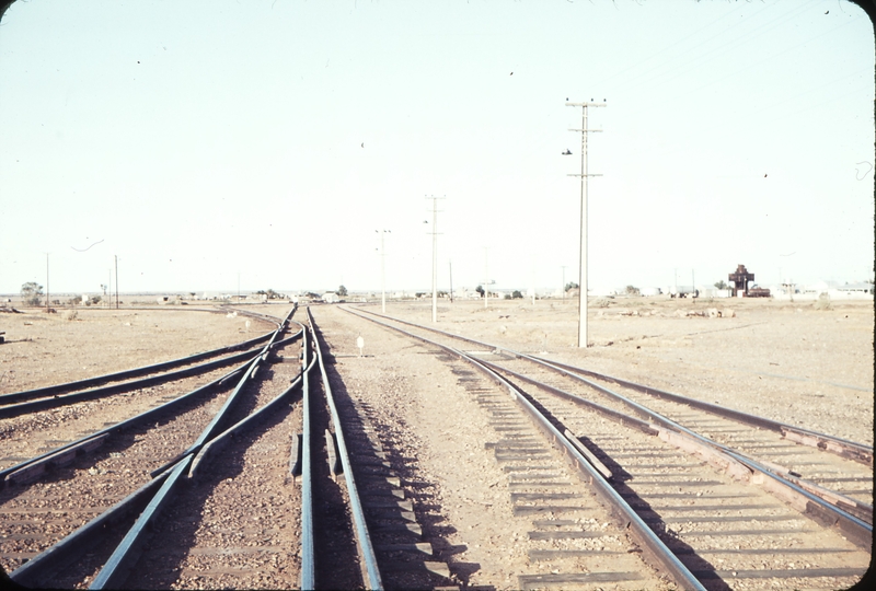 104426: Marree balloon loop