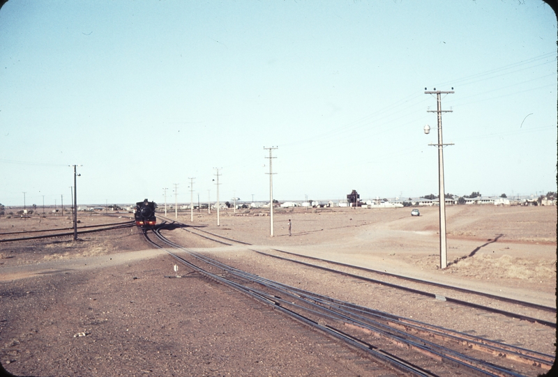 104427: Marree balloon loop Shunt NM 25