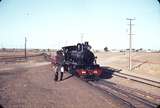 104428: Marree balloon loop Shunt NM 25