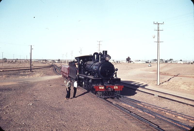 104428: Marree balloon loop Shunt NM 25