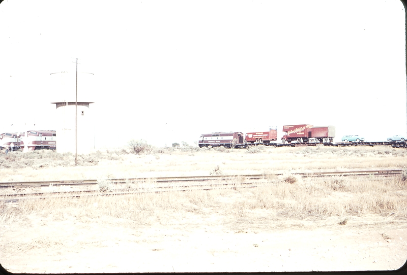 104444: Stirling North Up Mixed from Marree GM 23